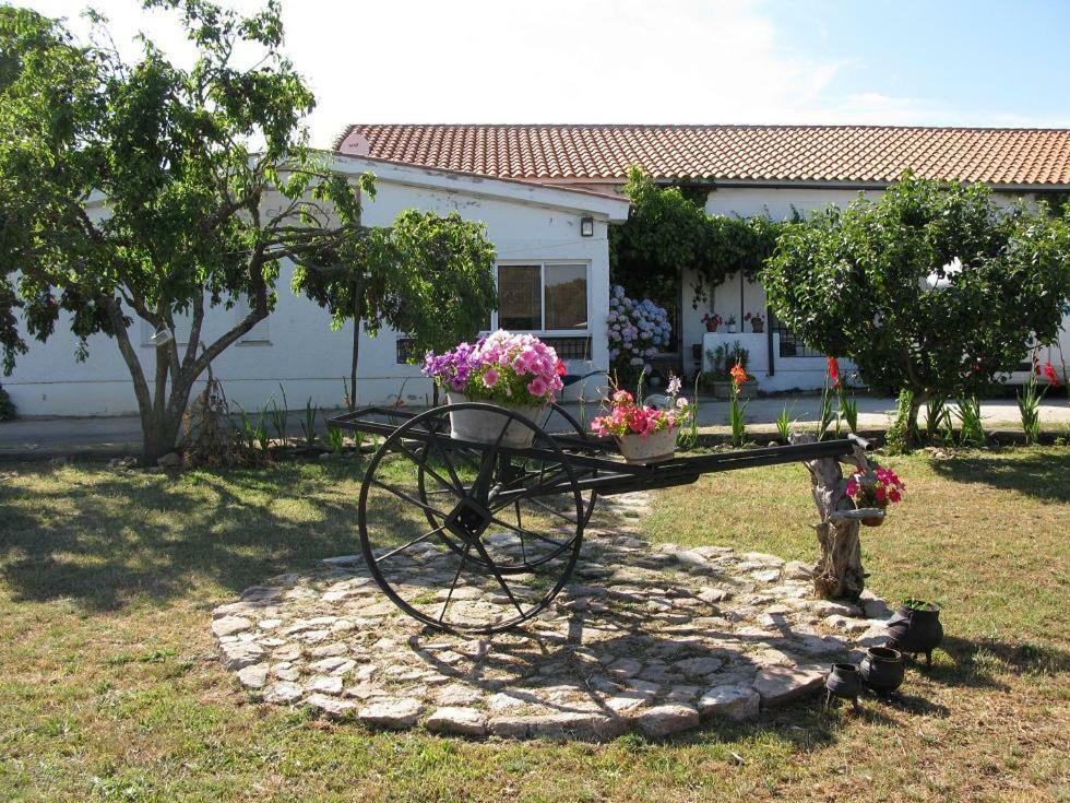 El Condado Casa Rural Fuentes de Onoro Exterior foto